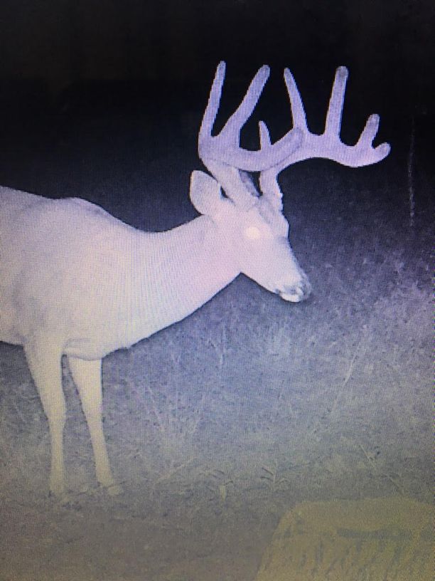 Patoka Sportsman 8-3-19