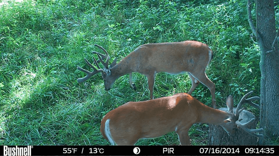 Patoka Sportsman 9-22-18