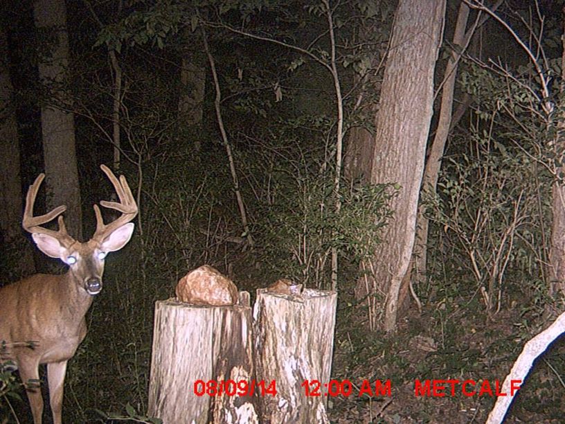 Patoka Sportsman 9-5-20