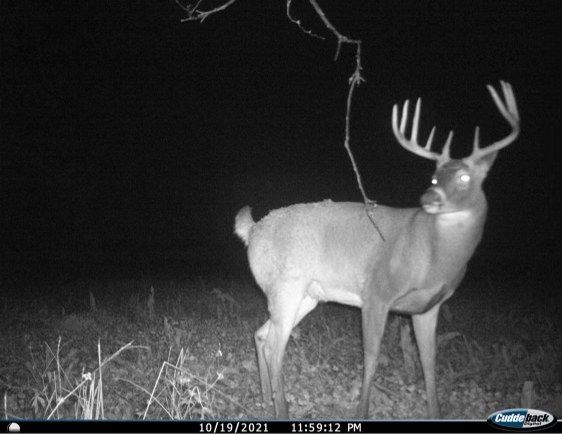 Patoka Sportsman 11-20-21