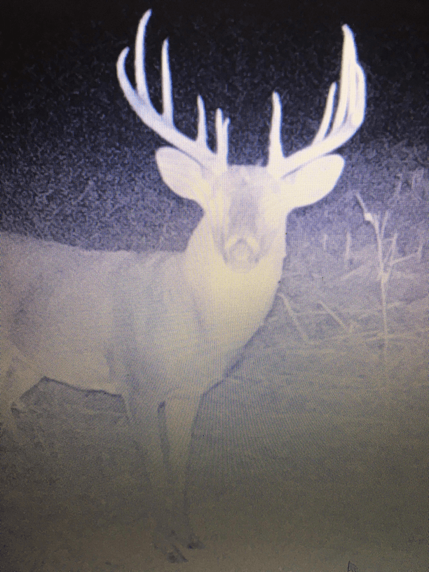 Patoka Sportsman 11-3-18