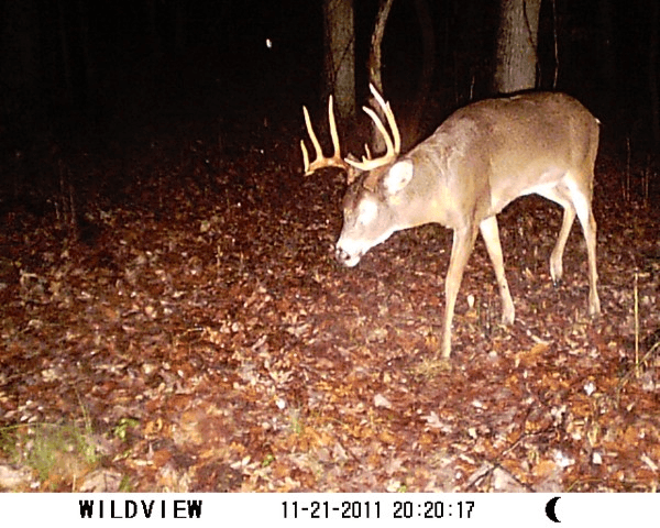 Patoka Sportsman 9-29-18