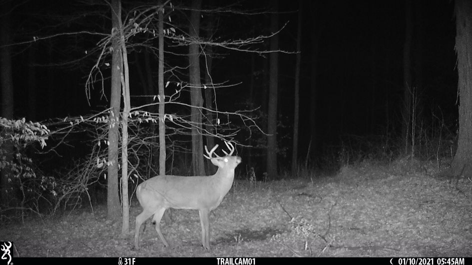 Patoka Sportsman 1-1-22