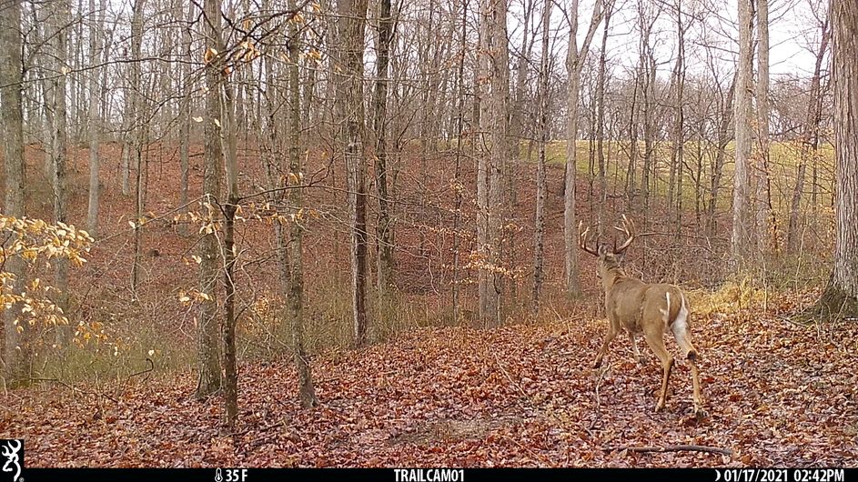 Patoka Sportsman 12-4-21