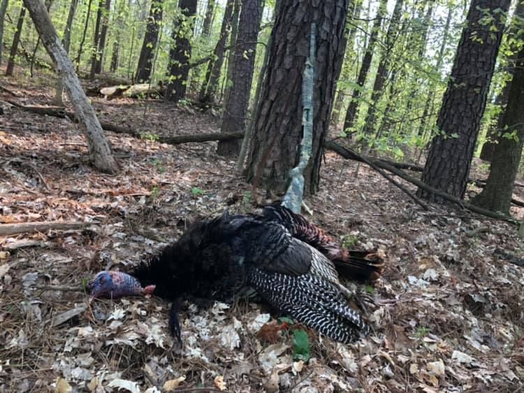 Patoka Sportsman 5-18-19