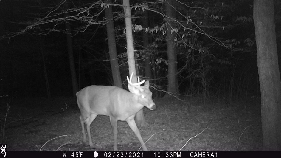 Patoka Sportsman 3-6-21