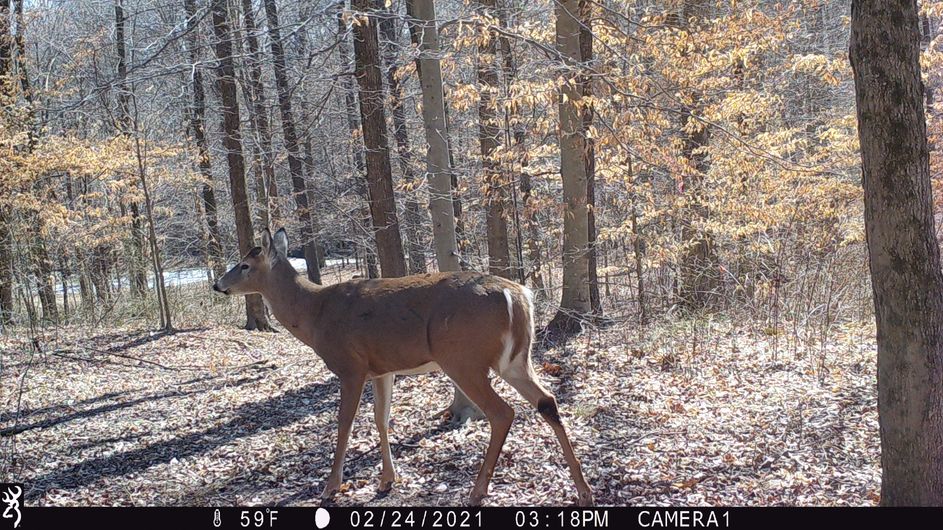 Patoka Sportsman 1-29-22