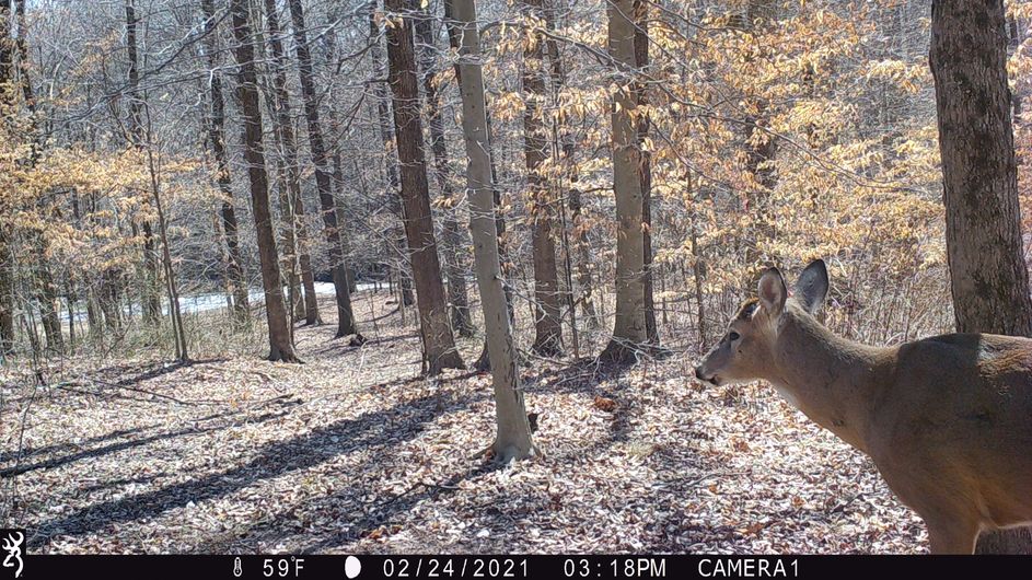 Patoka Sportsman 1-15-22