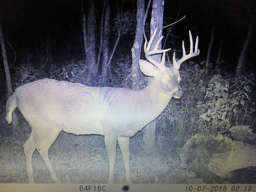 Patoka Sportsman 10-27-18