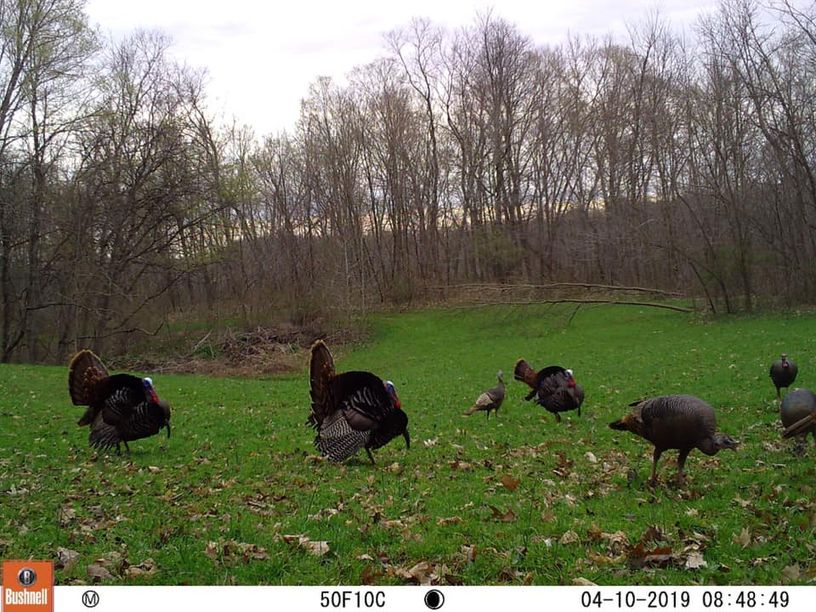 Patoka Sportsman 3-27-21