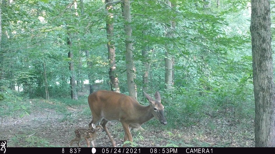 Patoka Sportsman 6-26-21