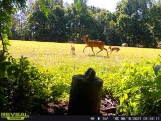 Patoka Sportsman 6-19-21