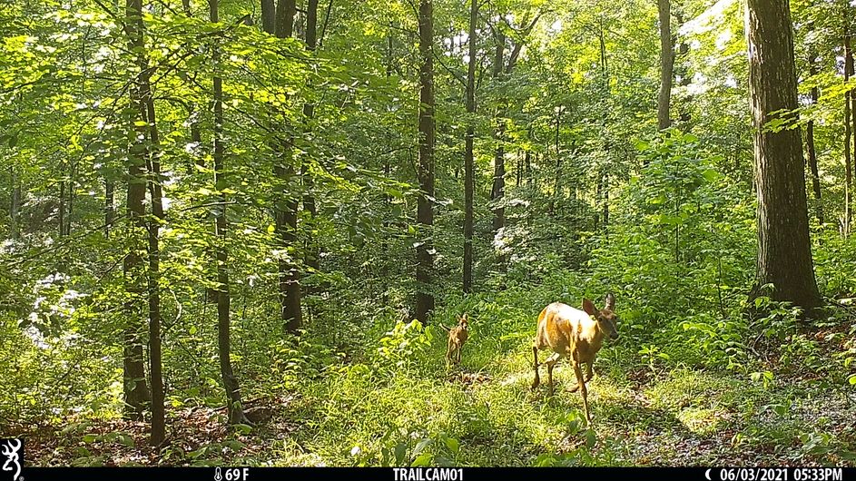 Patoka Sportsman 7-3-21