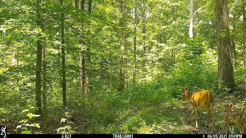 Patoka Sportsman 7-10-21