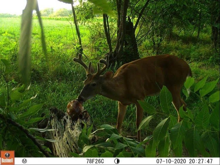 Patoka Sportsman 9-11-21