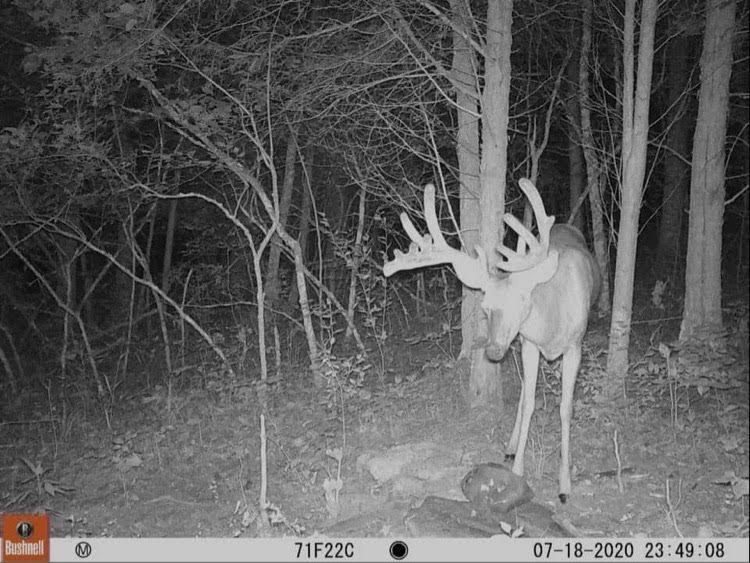 Patoka Sportsman 8-15-20