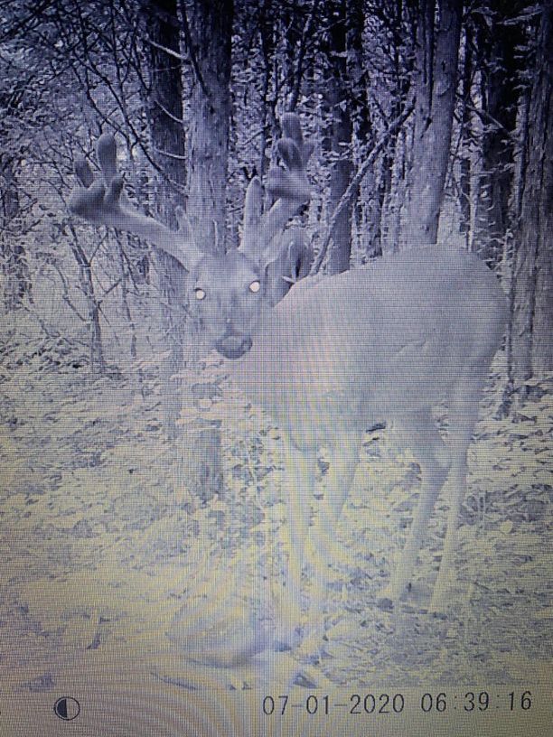 Patoka Sportsman 8-1-20