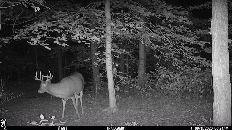 Patoka Sportsman 10-10-20