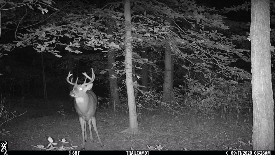 Patoka Sportsman 10-17-20