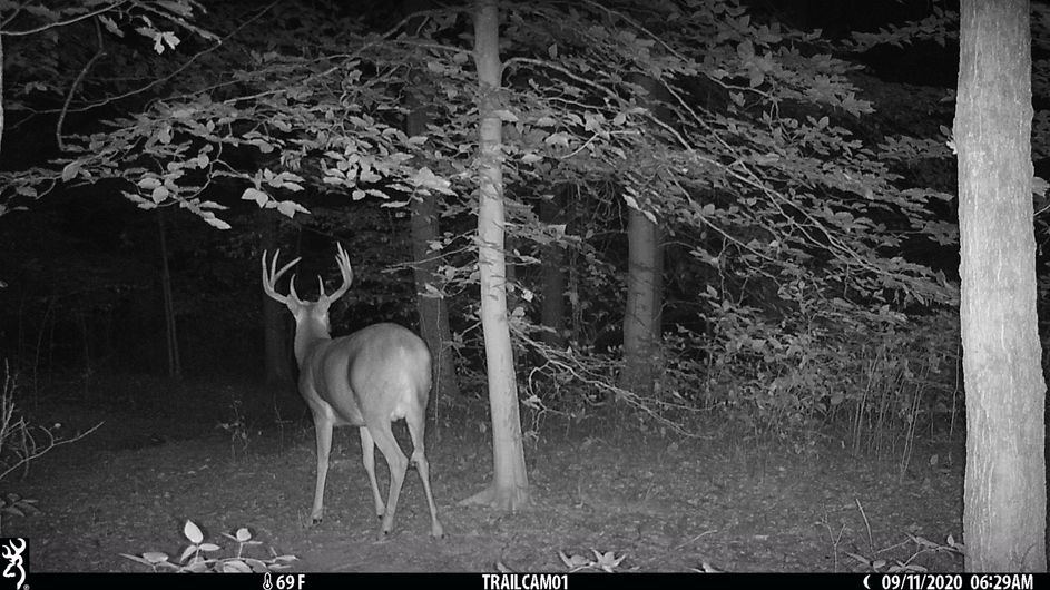 Patoka Sportsman 10-24-20