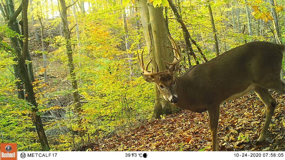 Patoka Sportsman 11-21-20