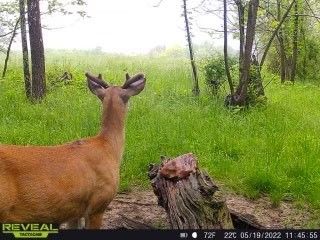 Patoka Sportsman 6-18-22