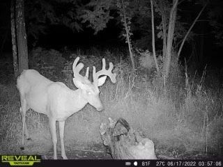 Patoka Sportsman 7-23-22