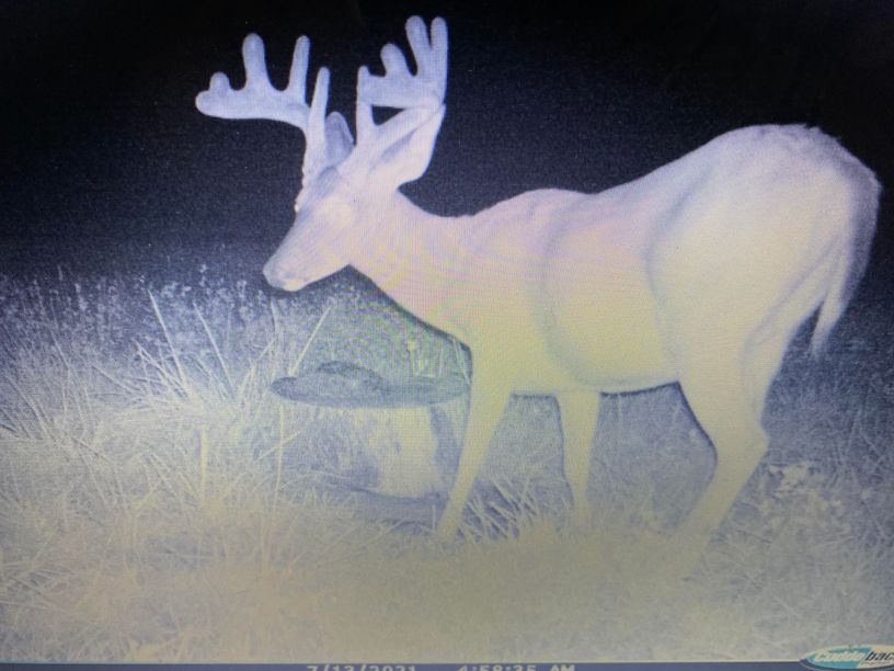 Patoka Sportsman 7-17-21