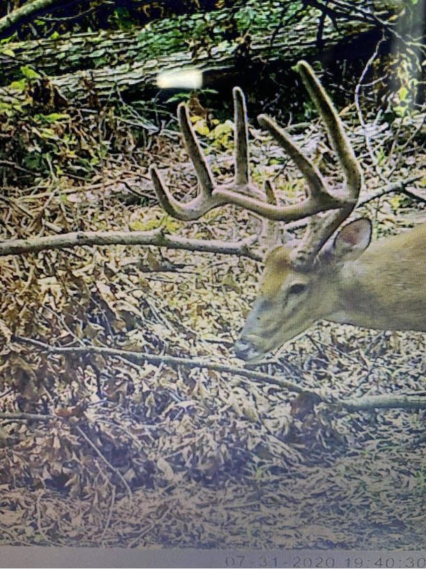 Patoka Sportsman 8-8-20