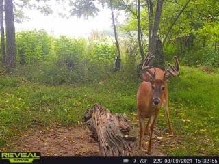 Patoka Sportsman 8-21-21