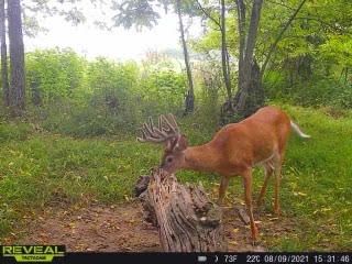 Patoka Sportsman 9-4-21