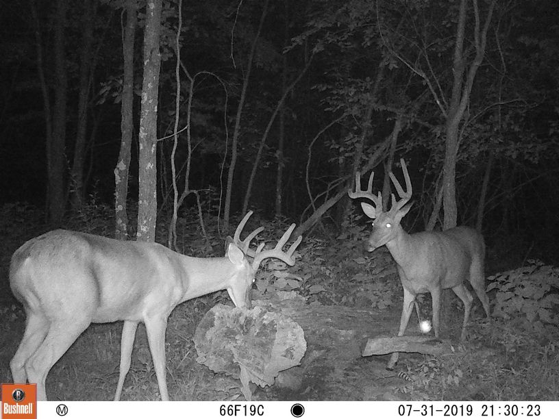 Patoka Sportsman 8-17-19