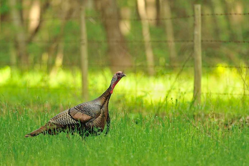 Patoka Sportsman 4-3-21