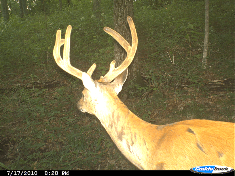 Patoka Sportsman 10-20-18