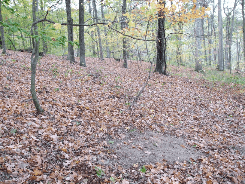 Patoka Sportsman 10-13-18