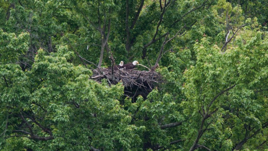 Patoka Sportsman 8-11-18