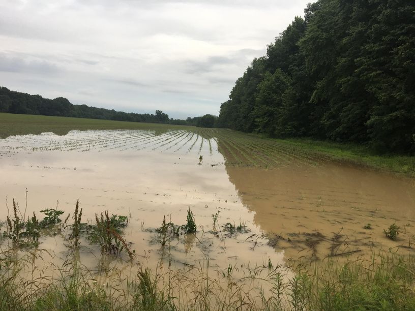 Patoka Sportsman 6-29-19