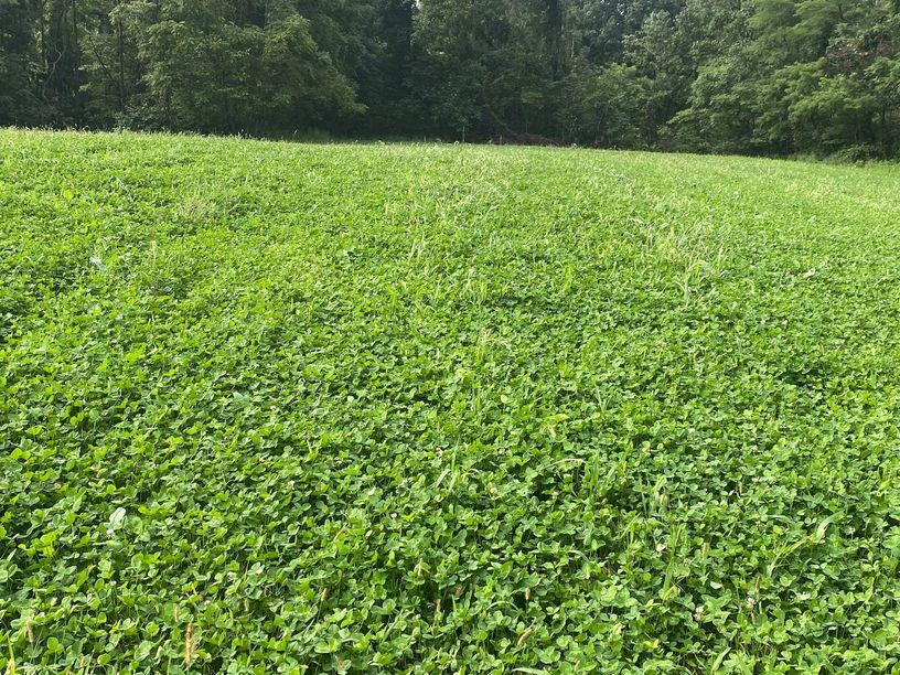 Patoka Sportsman 9-19-20