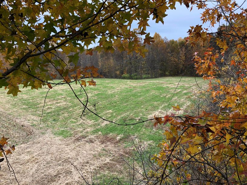 Patoka Sportsman 12-12-20