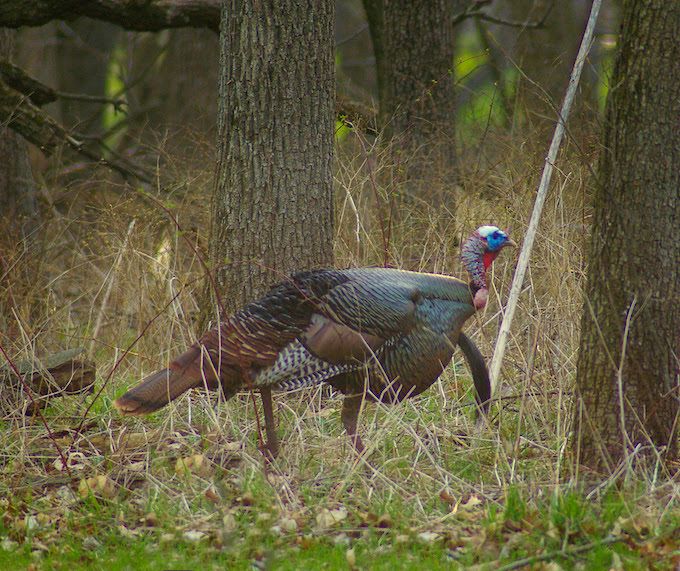 Patoka Sportsman 4-20-19