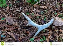 Patoka Sportsman 2-9-19