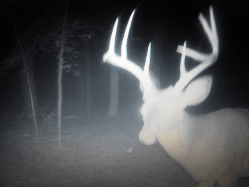 Patoka Sportsman 10-6-18