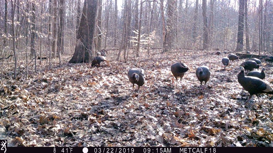 Patoka Sportsman 1-16-21