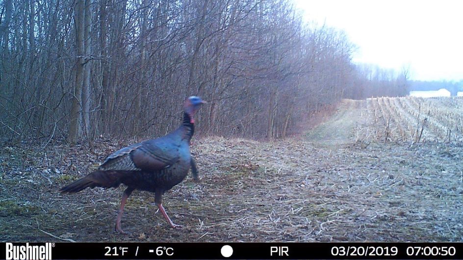 Patoka Sportsman 4-13-19