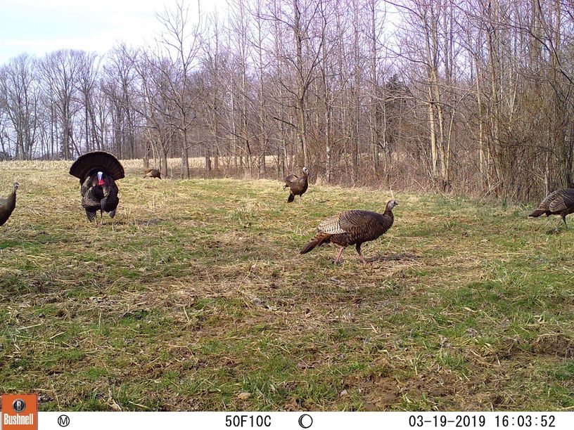 Patoka Sportsman 4-10-21