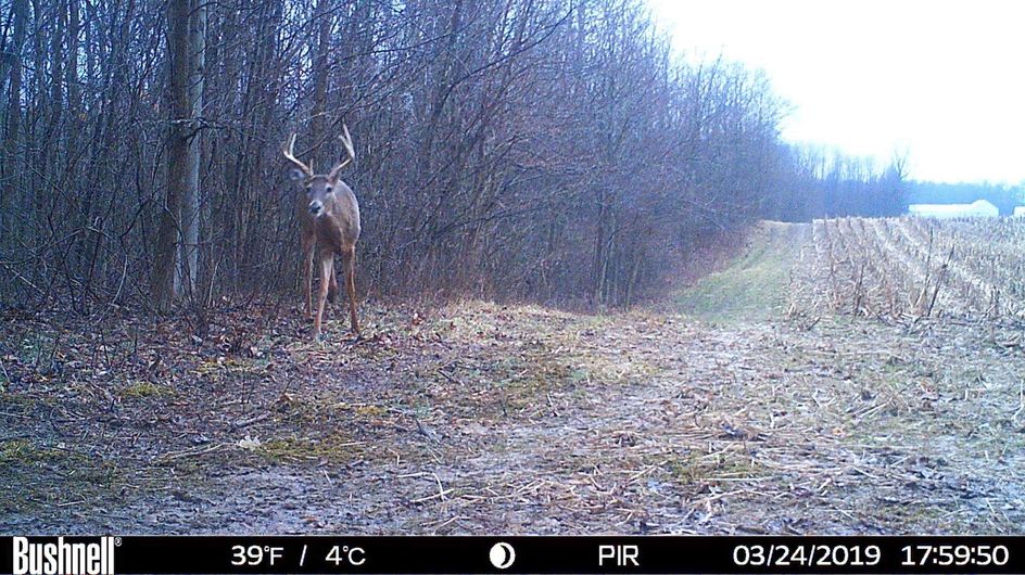 Patoka Sportsman 1-23-21