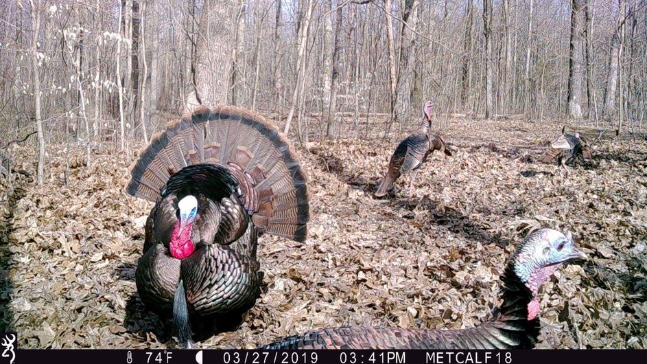 Patoka Sportsman 5-8-21