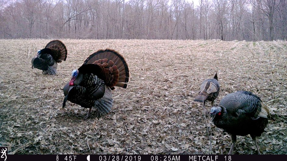 Patoka Sportsman 4-27-19