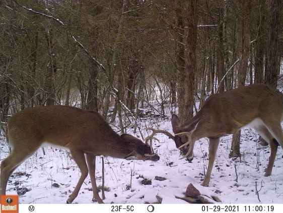 Patoka Sportsman 12-11-21