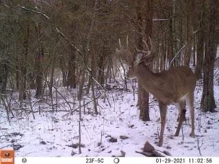 Patoka Sportsman 2-27-21